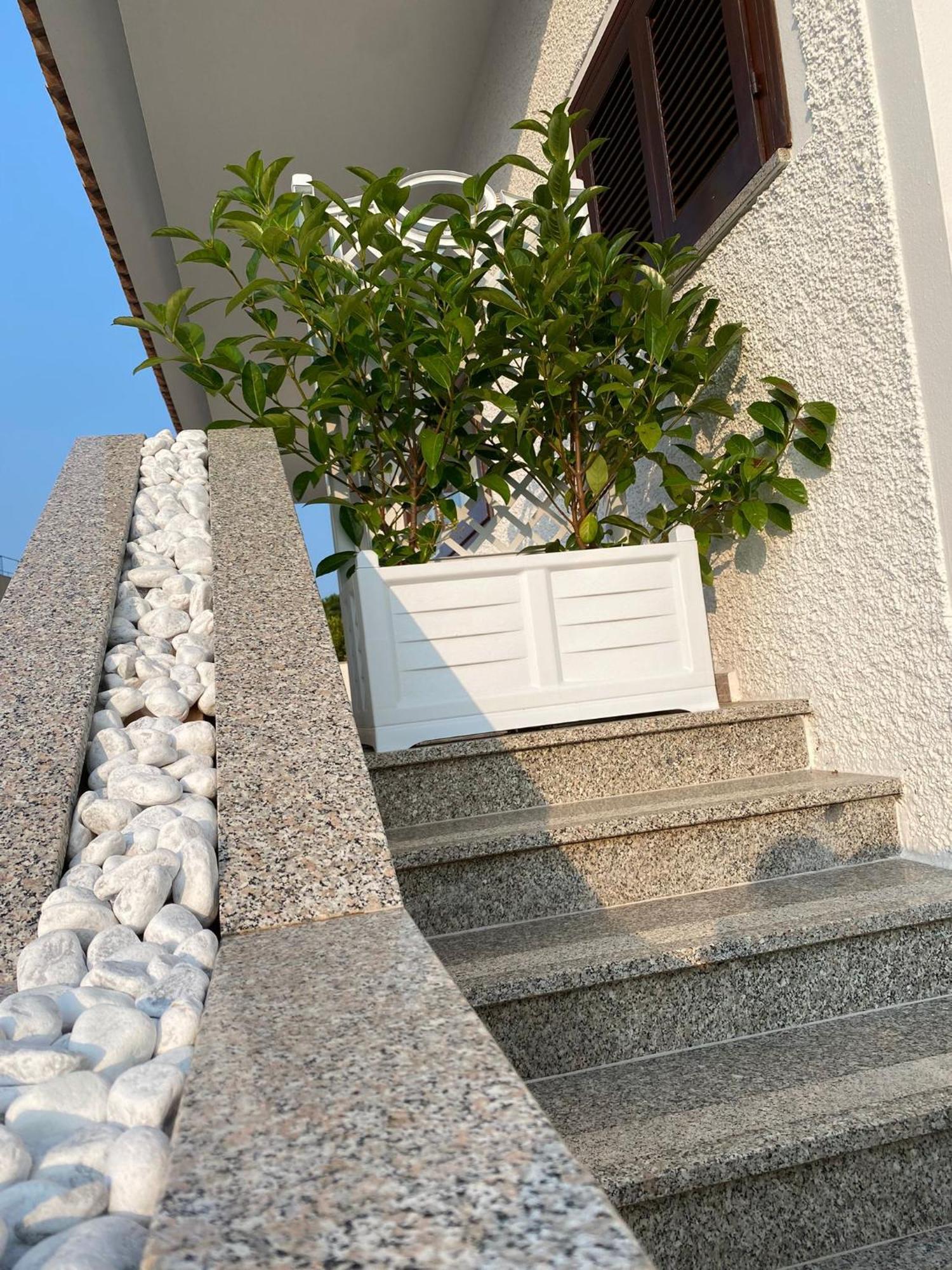Villa Da Rosa 奧爾比亞 外观 照片